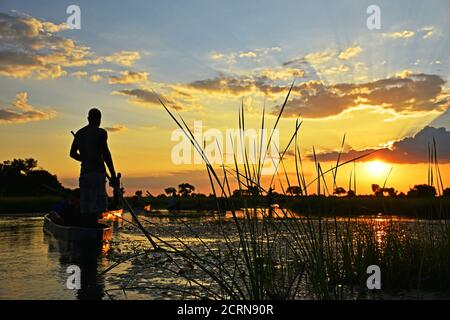 Magnifique coucher de soleil dans le delta d'Okavango Banque D'Images