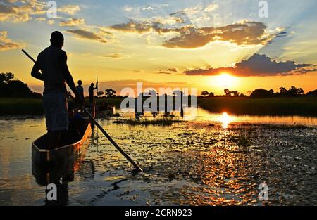 Magnifique coucher de soleil dans le delta d'Okavango Banque D'Images