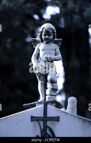 Petite statue d'un petit garçon ange avec les ailes à la pierre tombale de l'ancien cimetière de Dalmatie, Croatie, gros plan sur le clair de lune Banque D'Images