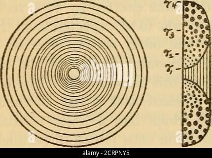 . Tests de sensibilité et de blindage magnétique d'un galvanomètre Thomson pour utilisation en radiométrie . de deux types,produisant des bobines du coffrage illustré à la Fig. 1, qui a showsa bobine composée enroulé en trois sections de fil gradué.Mandrel XO. 2 a été essayé pour déterminer si un markefdiment résulterait dans le champ magnétique près des aiguilles du galvanomètre. En utilisant des fils fins pour la section intérieure de la bobine, ce formede bobinage (mandrin n° 2) a été trouvé pour être préjudiciable.dans les bobines à décrire actuellement l'isolation était asingle couche de soie, exceptingdans la bobine de 0.6 ohms, qui a été couvert d'un doute Banque D'Images