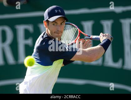 Andy Murray en action contre Kyle Edmund nature Valley International hommes Singles - deuxième tour. CRÉDIT PHOTO : © MARK PAIN / ALAMY Banque D'Images