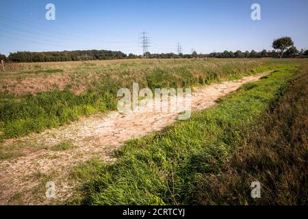 La rivière sèche déchue Issel près de Wesel le 19 septembre. 2020, Rhénanie-du-Nord-Westphalie, Allemagne. Der trocken gefallene Falluss Issel BEI Wesel am 19.09. Banque D'Images