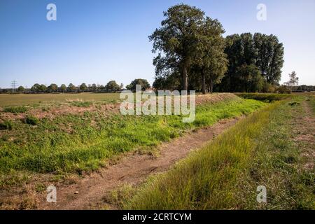 La rivière sèche déchue Issel près de Wesel le 19 septembre. 2020, Rhénanie-du-Nord-Westphalie, Allemagne. Der trocken gefallene Falluss Issel BEI Wesel am 19.09. Banque D'Images