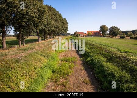 La rivière sèche déchue Issel près de Wesel le 19 septembre. 2020, Rhénanie-du-Nord-Westphalie, Allemagne. Der trocken gefallene Falluss Issel BEI Wesel am 19.09. Banque D'Images