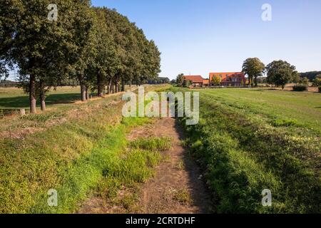 La rivière sèche déchue Issel près de Wesel le 19 septembre. 2020, Rhénanie-du-Nord-Westphalie, Allemagne. Der trocken gefallene Falluss Issel BEI Wesel am 19.09. Banque D'Images