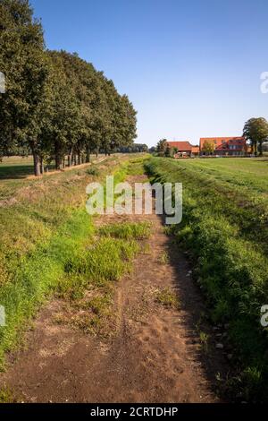 La rivière sèche déchue Issel près de Wesel le 19 septembre. 2020, Rhénanie-du-Nord-Westphalie, Allemagne. Der trocken gefallene Falluss Issel BEI Wesel am 19.09. Banque D'Images