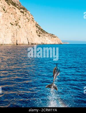 Dauphin sautant hors de l'eau sur l'île de Karpathos, Grèce Banque D'Images