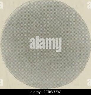 . Le journal technique de Bell System . ■^v. Figure 2—cristal partiellement assemblé montrant la relation de la dalle avec les axes du cristal. Une étude plus approfondie des coefficients de température a montré que les ringsrestant après les petits disques avaient été coupés de la plus grande,. A, +0,0045 Ba +0,0037 A3 +0,0004 Banque D'Images