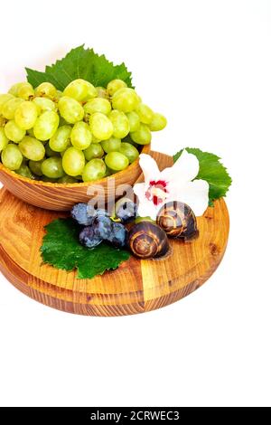 Un escargot et un bouquet de raisins de couleur hibiscus sur une planche de bois. Arrière-plan blanc. Banque D'Images