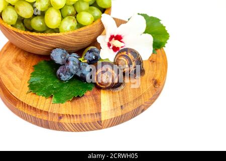 Un escargot et un bouquet de raisins de couleur hibiscus sur une planche de bois. Arrière-plan blanc. Banque D'Images