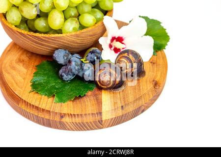 Un escargot et un bouquet de raisins de couleur hibiscus sur une planche de bois. Arrière-plan blanc. Banque D'Images