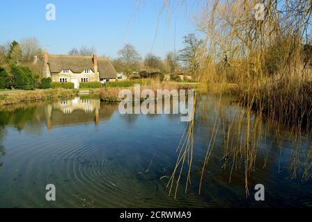 Un cottage de chaume à côté de l'étang du moulin dans le petit village de Sherrington dans le Wiltshire. Banque D'Images