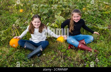 Kilduff Farm, East Lothian, Écosse, Royaume-Uni, 20 septembre 2020. Potiron Patch: Louisa (9 ans) et Maisie (11 ans) Calder se préparer pour les visiteurs à leur potiron Patch qui ouvre le 16 octobre avec 2 heures de machines à sous à réserver. La ferme pousse des citrouilles d'Halloween et culinaires. Les filles portent des puits dans le champ de citrouille Banque D'Images