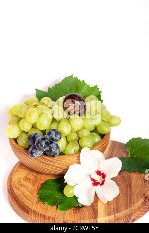 Un escargot et un bouquet de raisins de couleur hibiscus sur une planche de bois. Arrière-plan blanc. Banque D'Images