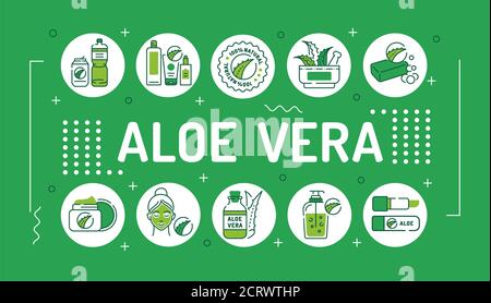 Typographie de lettrage d'aloe vera. Produits de soin avec extrait d'aloès pour le visage et le corps. Soin de la peau. Cosmétiques. Infographies avec icônes linéaires en vert Illustration de Vecteur