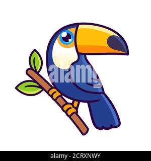 Joli dessin animé Toco toucan. Illustration d'un vecteur d'oiseaux de forêt tropicale exotique. Illustration de Vecteur