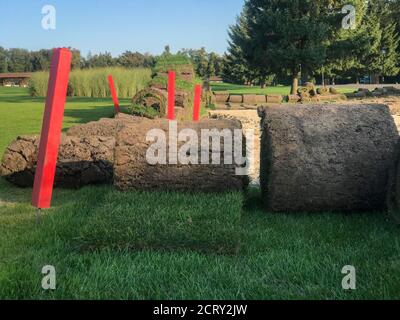 Rouleaux d'herbe, sur un terrain de golf dans un parc par jour ensoleillé, sur fond de pins Banque D'Images