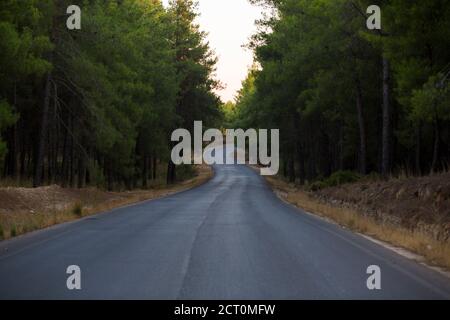 Route asphaltée à travers la forêt de pins verts en Turquie Banque D'Images