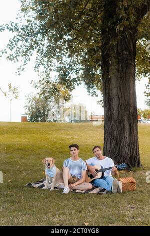 adolescent et père assis sur une couverture près de golden retriever en dessous tronc d'arbre Banque D'Images