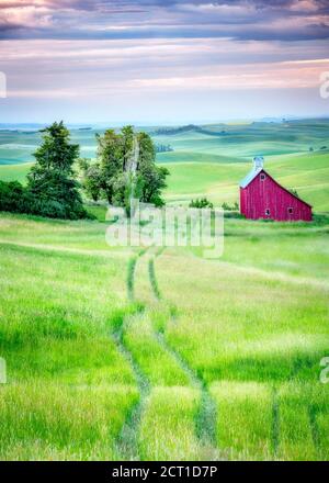 Grange rouge et forêt d'arbres près de Moscou Idaho in La Palouse Banque D'Images