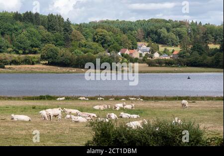 Vue sur le lac Saint-Agnan situé dans la zone protégée du Parc naturel régional du Morvan, département de Nièvre, FRANCE. Banque D'Images