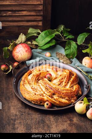 Tarte fraîche maison tordue à la pomme et à la cannelle dans un plateau vintage sur fond de contreplaqué rustique. Banque D'Images