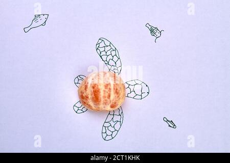 Demi-coquille de tortue pelée et audacieuse. Banque D'Images