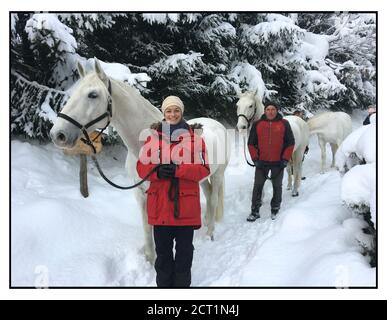 Les chevaux Lipizzaner de l'hôtel Stanglwirt à Going am Wilder Kaiser, Autriche. Banque D'Images