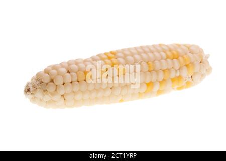 Maïs jaune isolé sur fond blanc. Banque D'Images