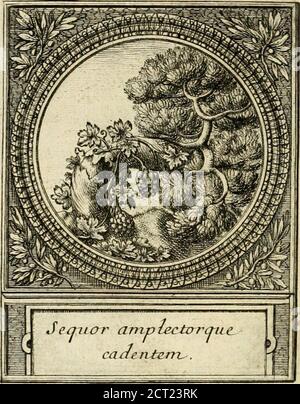 . De l'art des dispositifs . j 500 DISPOSITIFS. XLIÎI. LAmitié quon attribué à la ligne efl : vnSymbole de grande inftruction & degrand exemple. Quant vne fois elle sattacheà vn Arbre, elle ne sen fenpare jamais. Ellefouf-fre lorage aveque luy i & tombe aveque luyquand il efl: Abbaru de lorage. This confian-ce metap borique de la Vigne, eft devenue con-fiance réelle, en vn homme de mérite, que lavauvâife Fortune n a pu feparer dvn illuflreMalheureux, à qui il seftoic attaché. il A D O P T FE s. S»i Banque D'Images