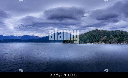 Des nuages sombres et une écluse d'oiseaux lors d'une traversée en ferry entre Horseshoe Bay et Sechelt en Colombie-Britannique, Canada Banque D'Images