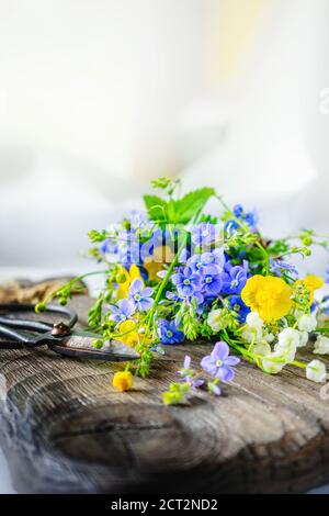 Composition avec Buttercup jaune et Forget-me-Not sur fond de bois. Grandes ciseaux rustiques millésimes, un bouquet de fleurs sauvages dans un très vieux Banque D'Images