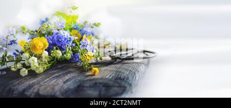 Composition avec Buttercup jaune et Forget-me-Not sur fond de bois. Grandes ciseaux rustiques millésimes, un bouquet de fleurs sauvages dans un très vieux Banque D'Images