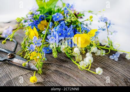 Composition avec Buttercup jaune et Forget-me-Not sur fond de bois. Grandes ciseaux rustiques millésimes, un bouquet de fleurs sauvages dans un très vieux Banque D'Images