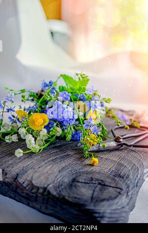 Composition avec Buttercup jaune et Forget-me-Not sur fond de bois. Grandes ciseaux rustiques millésimes, un bouquet de fleurs sauvages dans un très vieux Banque D'Images