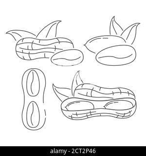 Dans les icônes de coquillages de ligne d'art vecteur.concept signes pour le site alimentaire vegan. Illustration de Vecteur