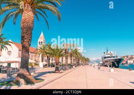 Allée avec palmiers dans la ville de Trogir, côte Adriatique, Croatie. Banque D'Images
