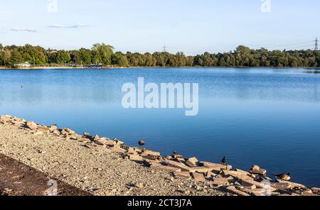 Réservoir d'Aldenham Country Park, Hertfordshire, Angleterre, Royaume-Uni. Banque D'Images