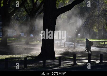 Employé de la ville travaillant avec un souffleur de feuilles dans un parc public de Buenos Aires, Argentine Banque D'Images