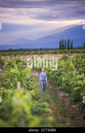 Femme dans les vignobles des Andes pendant des vacances de dégustation de vin dans un domaine viticole de la vallée de l'UCO (Valle de UCO), une région viticole de la province de Mendoza, Argentine, Amérique du Sud Banque D'Images