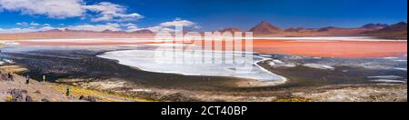 Red Lagoon (Laguna Colorada), un lac salé de l'Altiplano de Bolivie dans la réserve nationale de faune andine Eduardo Avaroa, Amérique du Sud Banque D'Images