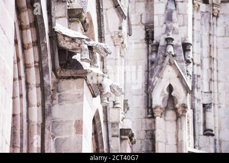 Tortues sculptées sur l'église de la Basilica, ville de Quito, Equateur, Amérique du Sud Banque D'Images