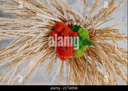 mousse naturelle rouge et verte dans un bouquet de fleurs séchées, pas besoin de plantes de soins, vue de dessus Banque D'Images