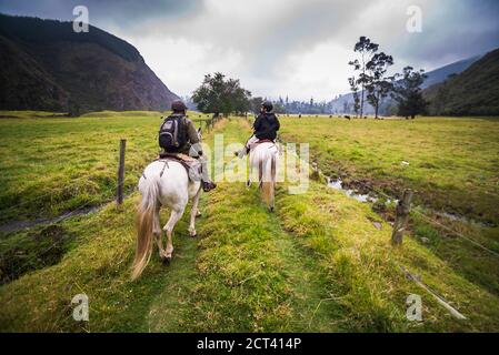 Equitation à Hacienda Zuleta, Imbabura, Equateur, Amérique du Sud Banque D'Images