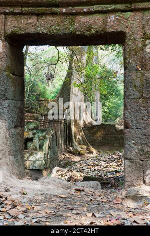 Ruines au temple de Phimeanakas, temples d'Angkor, Cambodge, Indochine, Asie du Sud-est, Asie, Asie du Sud-est Banque D'Images