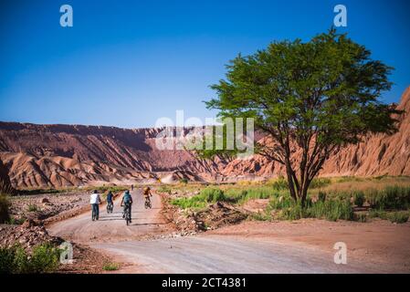 Cyclisme dans la vallée de Katarpe, désert d'Atacama, Chili du Nord, Amérique du Sud Banque D'Images