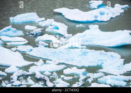 Icebergs de Grey Glacier (Glaciar Gray), parc national Torres del Paine, Patagonie, Chili, Amérique du Sud Banque D'Images