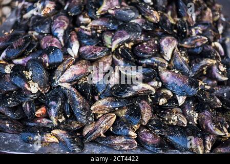 Moules au marché de poissons Angelmo, Puerto Montt, Chili, Amérique du Sud Banque D'Images