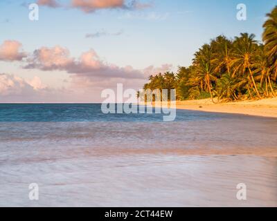 Plage tropicale avec palmiers au lever du soleil, Rarotonga, îles Cook, arrière-plan avec espace de copie Banque D'Images