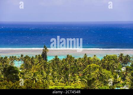 Jungle tropicale de palmiers avec bleu océan Pacifique derrière, à Rarotonga, îles Cook, océan Pacifique Sud Banque D'Images